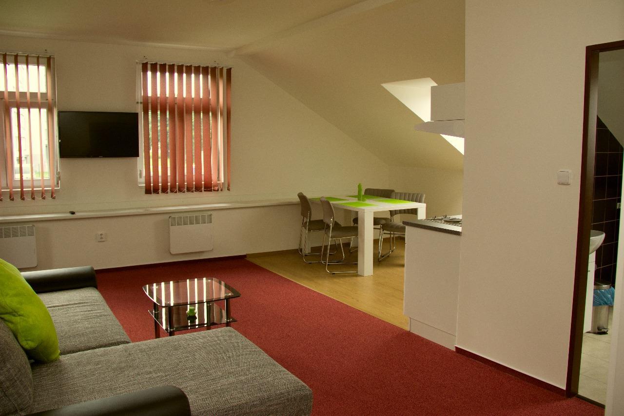 Apartmany Stone Vrbno pod Pradedem Bagian luar foto